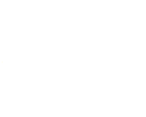 Ost-West Express